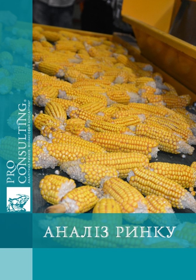 Аналіз світового ринку продуктів переробки кукурудзи. 2025 рік